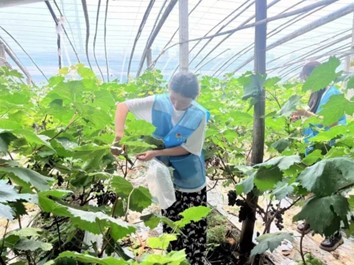 拉斯维加斯娱乐城